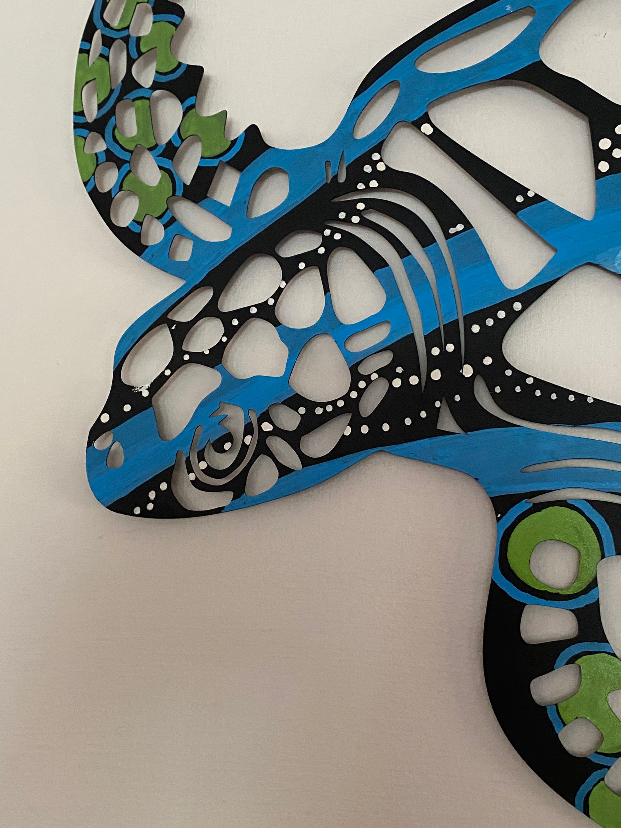 Salt Water Sea Turtle